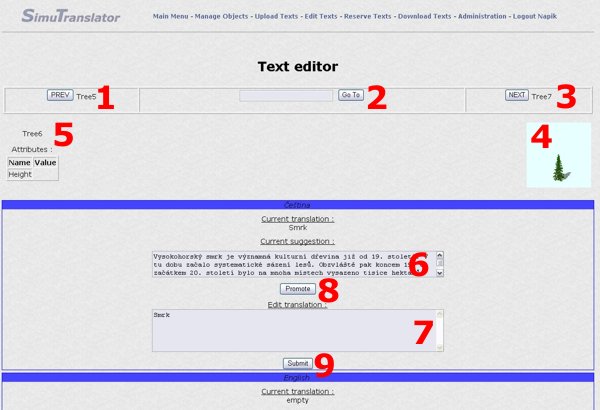 Text Editor Window